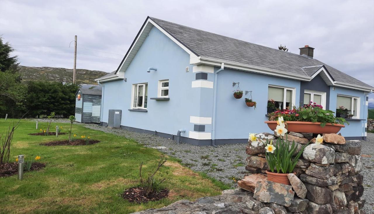 Clifden Wildflower Cottage - Clifden Countryside Lettings Zewnętrze zdjęcie