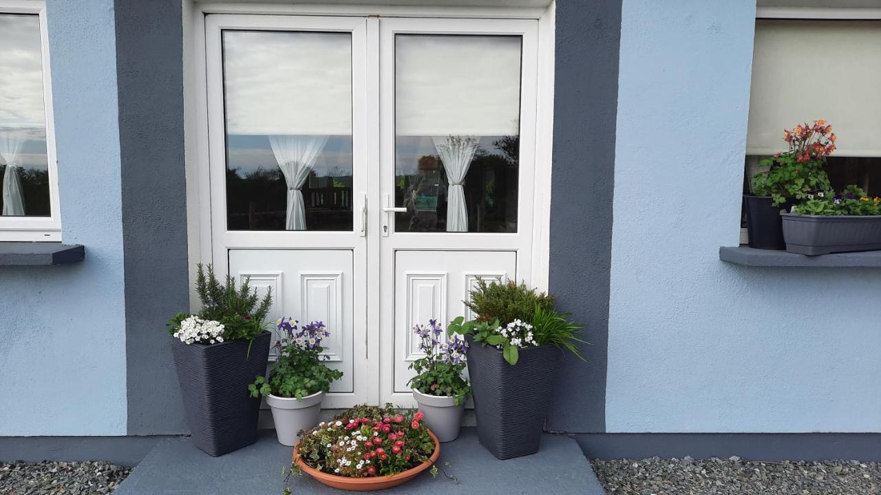 Clifden Wildflower Cottage - Clifden Countryside Lettings Zewnętrze zdjęcie