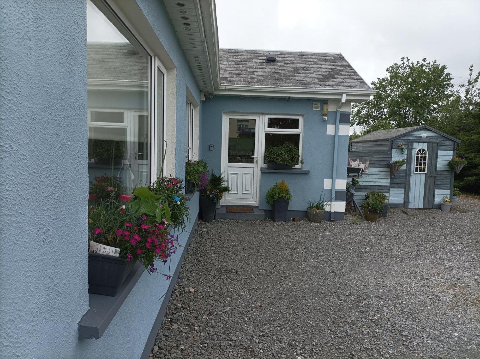Clifden Wildflower Cottage - Clifden Countryside Lettings Zewnętrze zdjęcie
