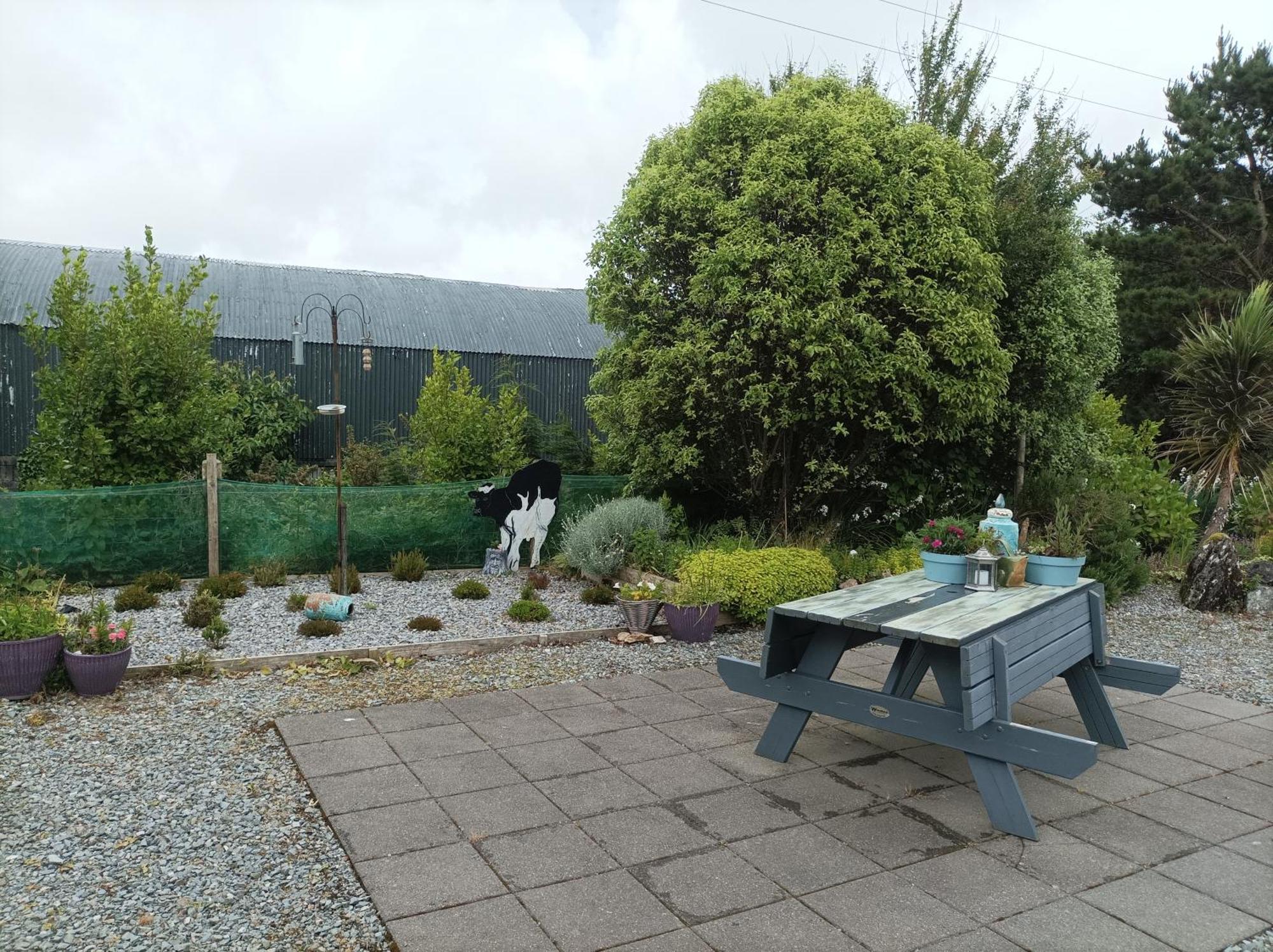 Clifden Wildflower Cottage - Clifden Countryside Lettings Zewnętrze zdjęcie